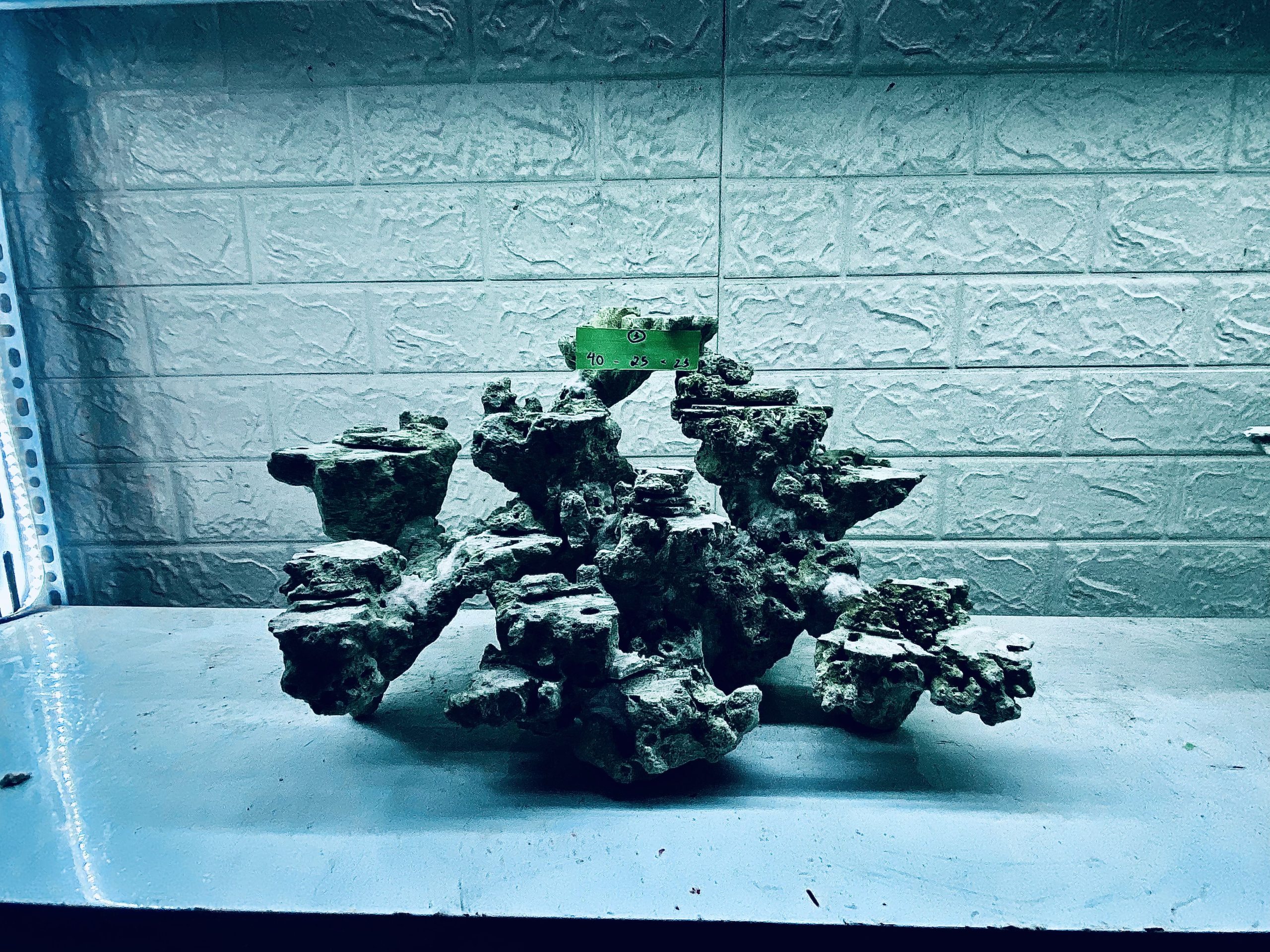 layout-ca-bien-royalaqua (176)