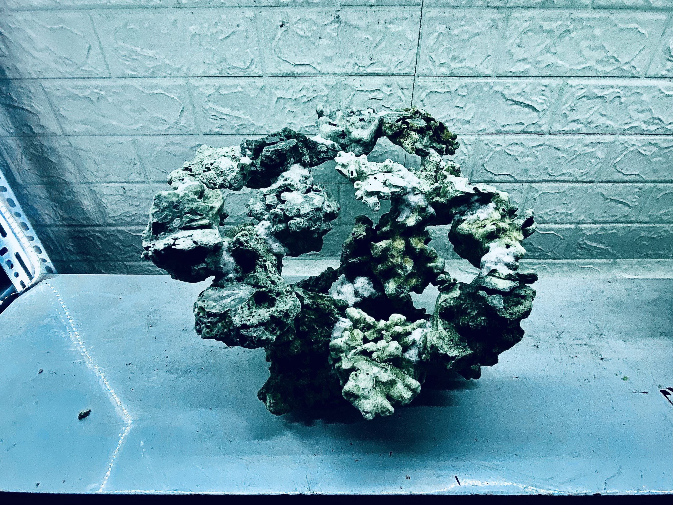 layout-ca-bien-royalaqua (178)