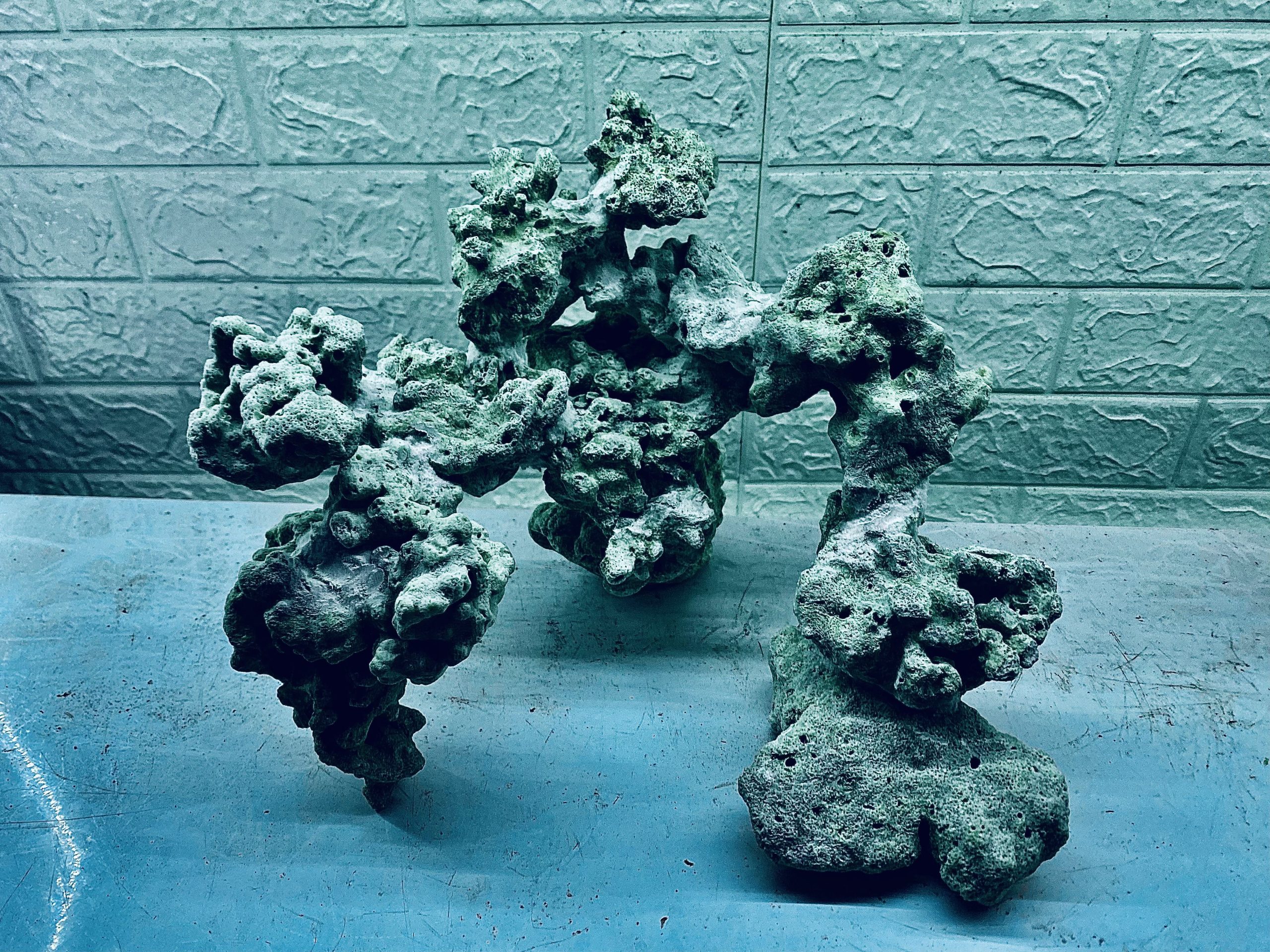 layout-ca-bien-royalaqua (181)