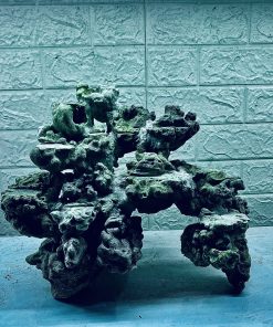 MÃ 325 - LAYOUT CÁ BIỂN BỂ 50CM - ROYALAQUA