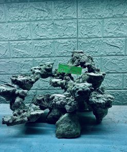 MÃ 327 - LAYOUT CÁ BIỂN BỂ 45CM - ROYALAQUA