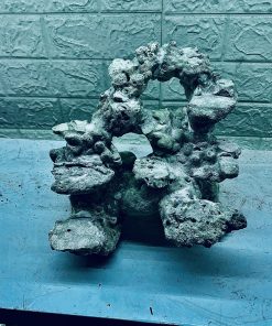 MÃ 328 - LAYOUT CÁ BIỂN BỂ 30CM - ROYALAQUA