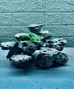 MÃ 329 - LAYOUT CÁ BIỂN BỂ 25CM 0 ROYALAQUA