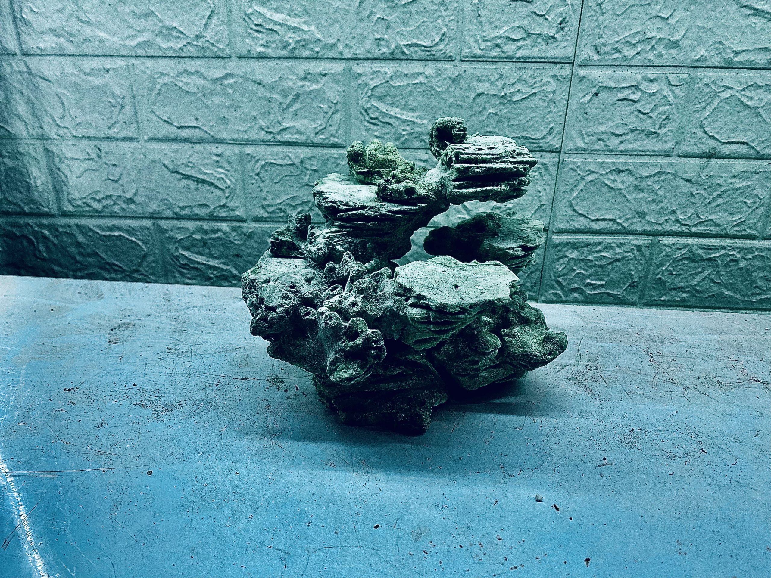 layout-ca-bien-royalaqua (189)