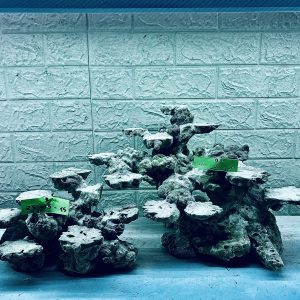MÃ 333 - LAYOUT CÁ BIỂN BỂ 80x40x40CM - ROYALAQUA