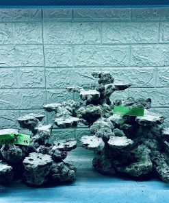 MÃ 333 - LAYOUT CÁ BIỂN BỂ 80x40x40CM - ROYALAQUA