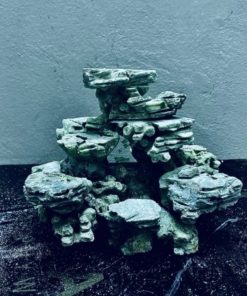 MÃ 337 - LAYOUT CÁ BIỂN BỂ 30CM - ROYALAQUA