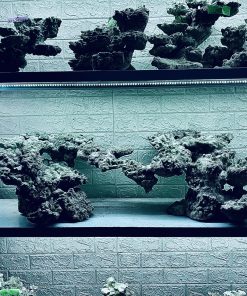 MÃ 338 - LAYOUT CÁ BIỂN BỂ 150CM - ROYALAQUA