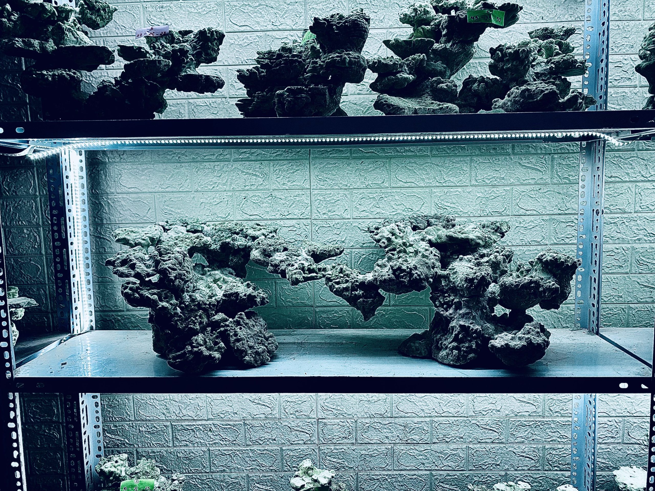 layout-ca-bien-royalaqua (210)