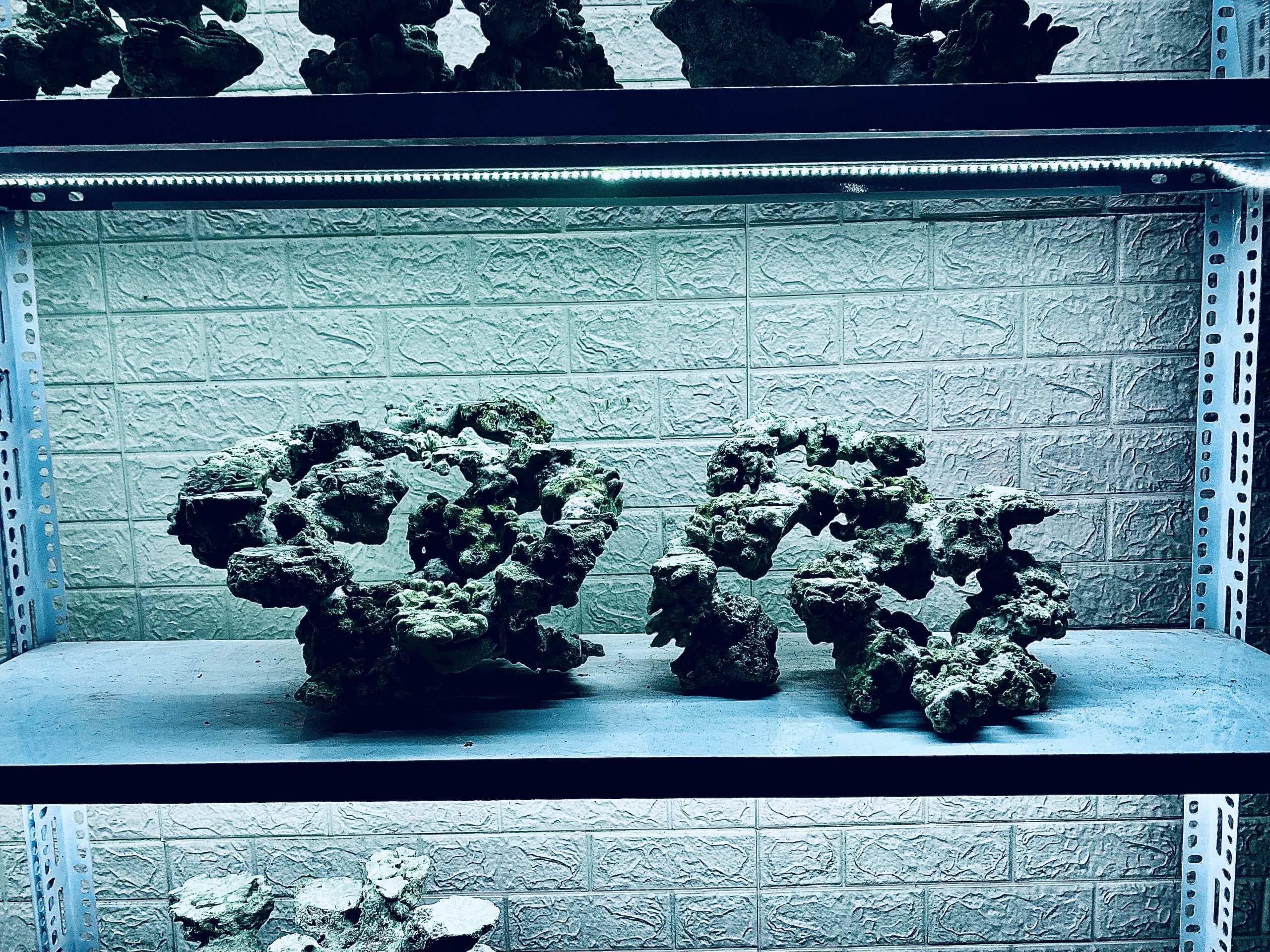 layout-ca-bien-royalaqua (212)