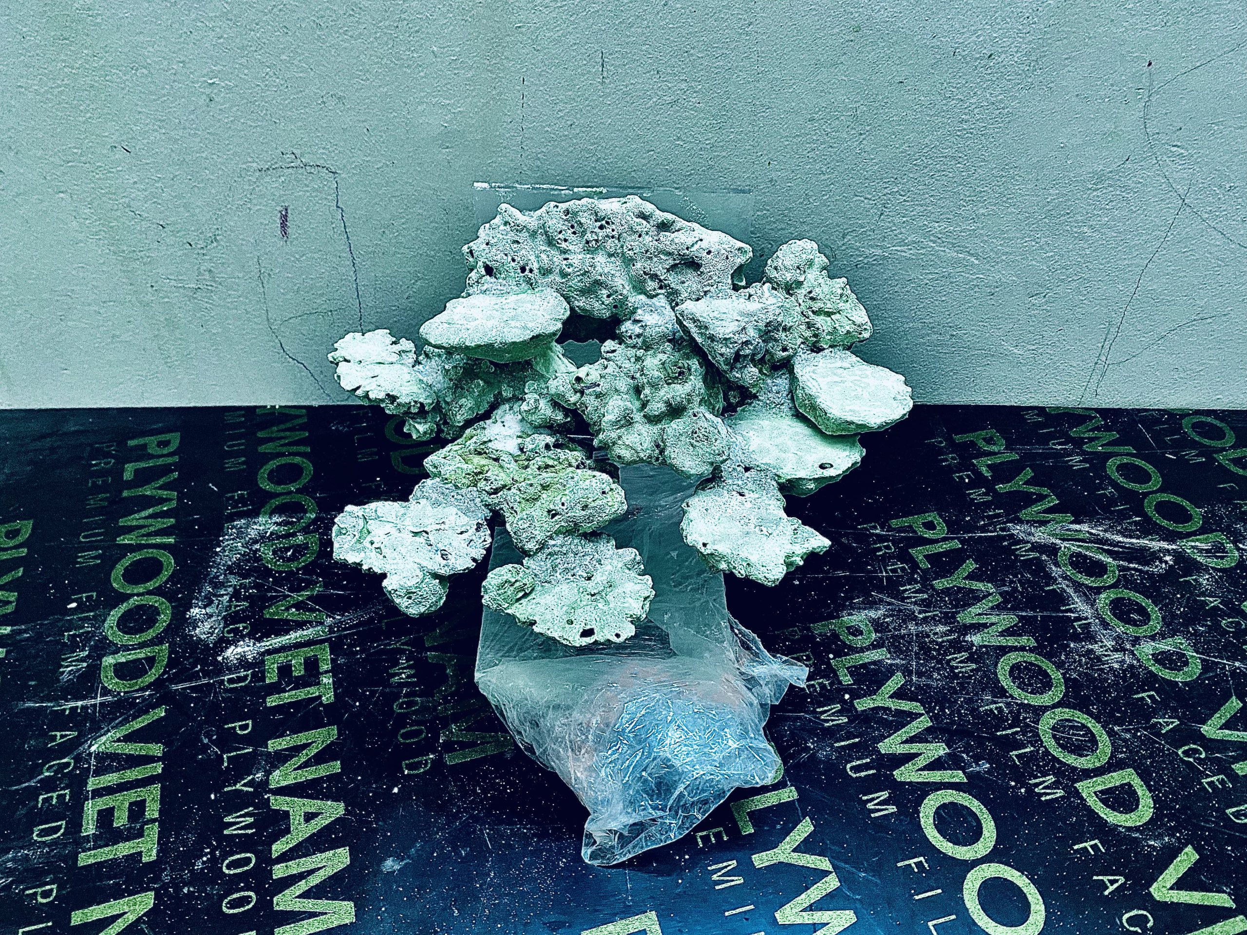 layout-ca-bien-royalaqua (22)