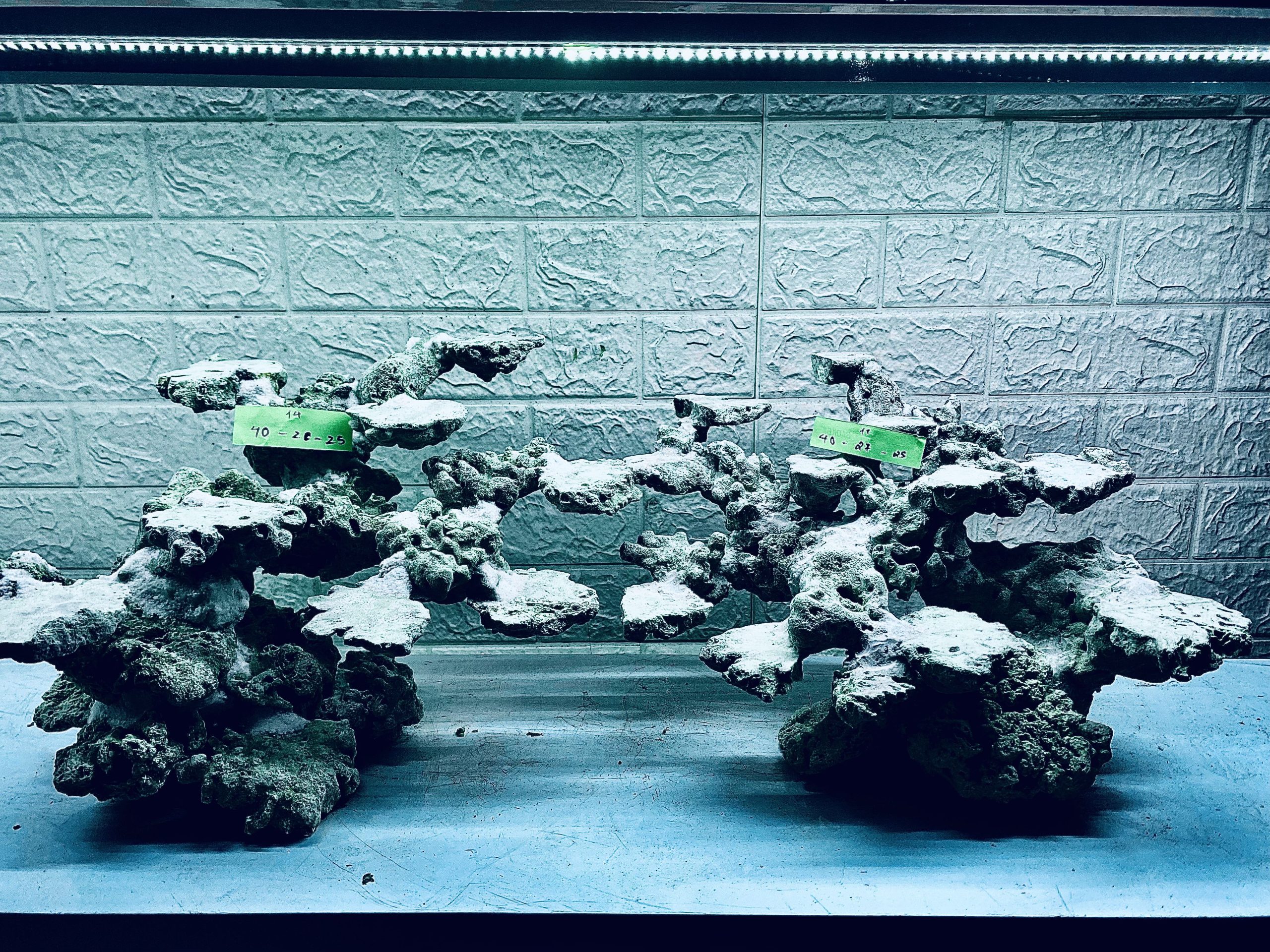 layout-ca-bien-royalaqua (223)