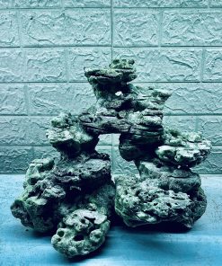 MÃ 343 - LAYOUT CÁ BIỂN BỂ 30CM - ROYALAQUA