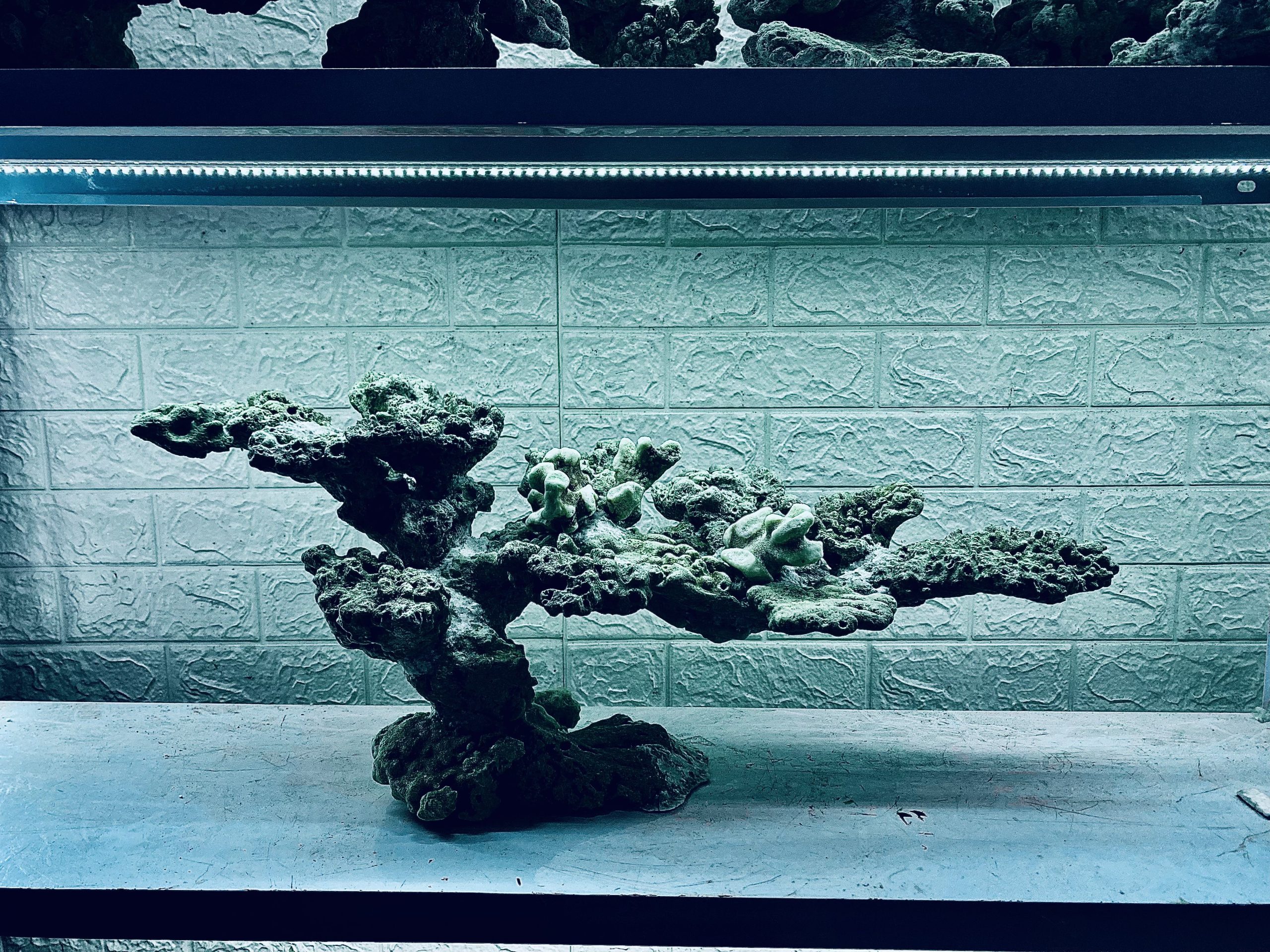 layout-ca-bien-royalaqua (234)