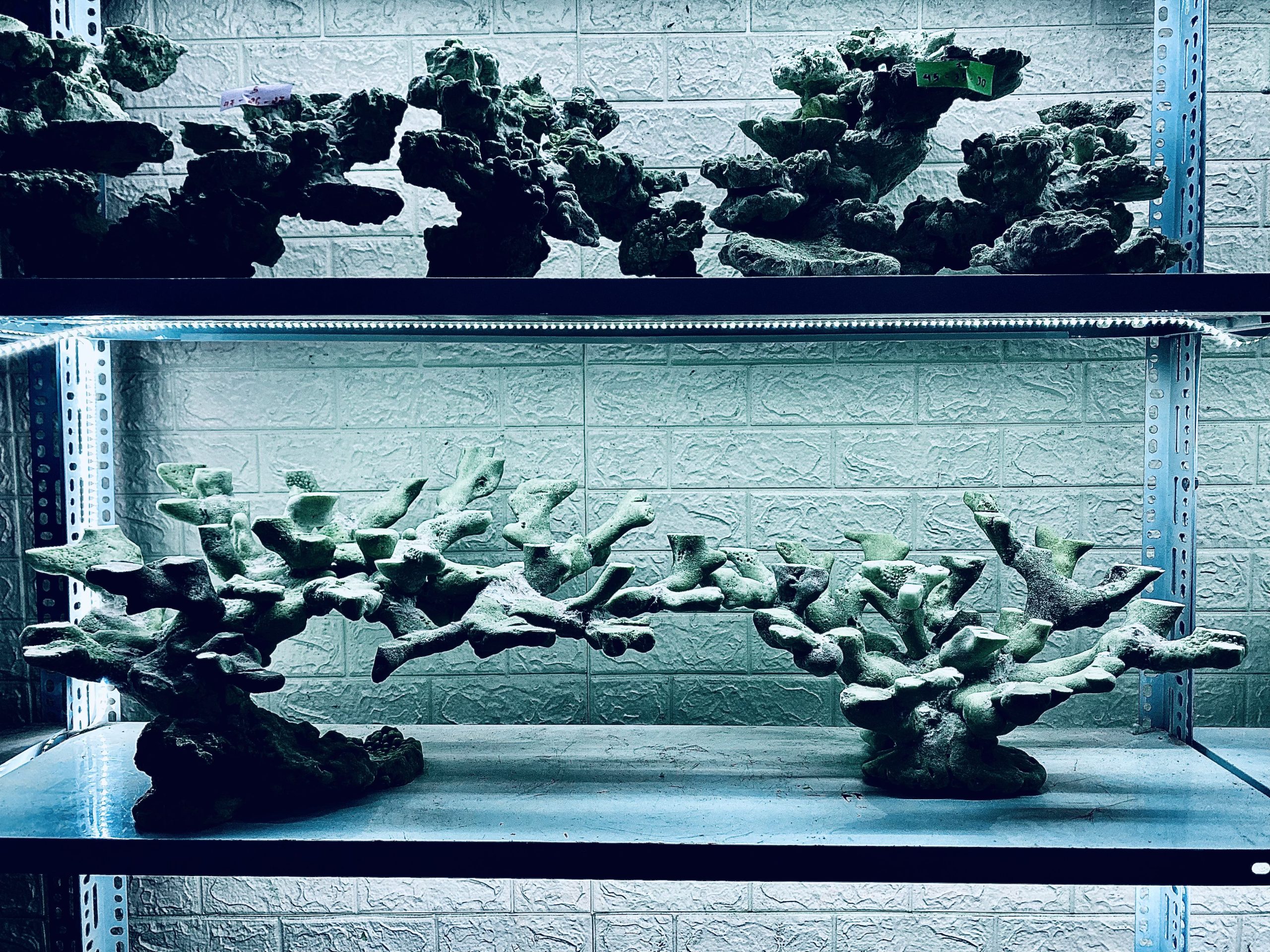 layout-ca-bien-royalaqua (238)