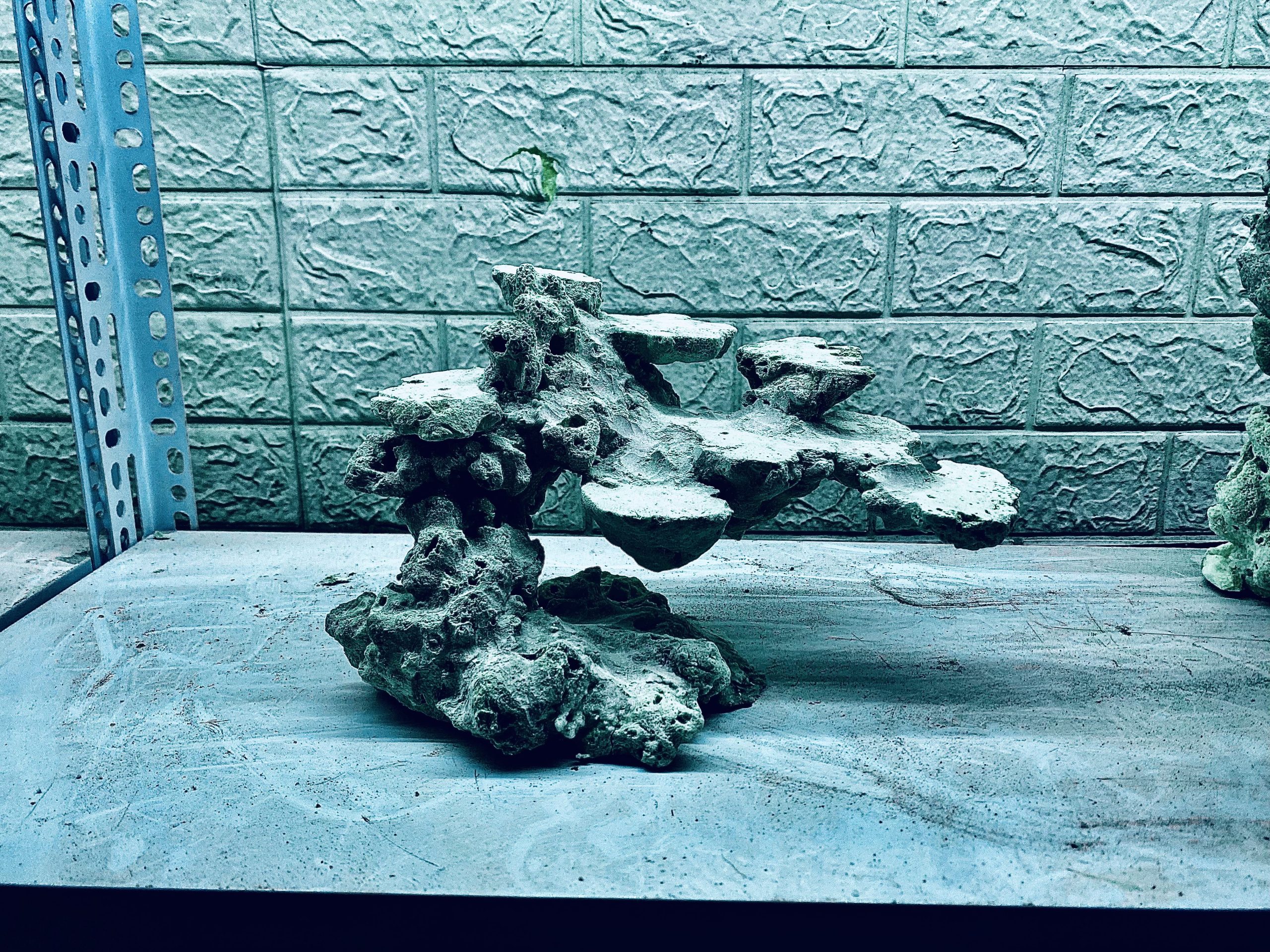 layout-ca-bien-royalaqua (242)