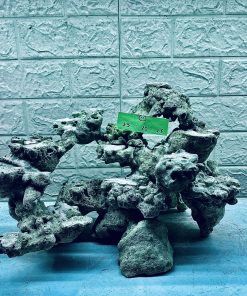 MÃ 349 - LAYOUT CÁ BIỂN BỂ 45CM - ROYALAQUA