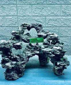 MÃ 350 - LAYOUT CÁ BIỂN BỂ 40CM - ROYALAQUA