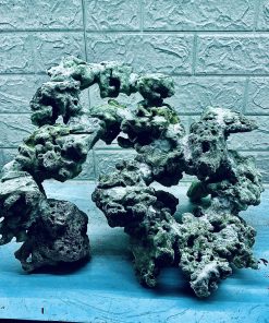 MÃ 351 - LAYOUT CÁ BIỂN BỂ 40CM - ROYALAQUA