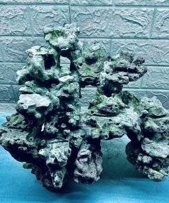 MÃ 352 - LAYOUT CÁ BIỂN BỂ 40CM - ROYALAQUA