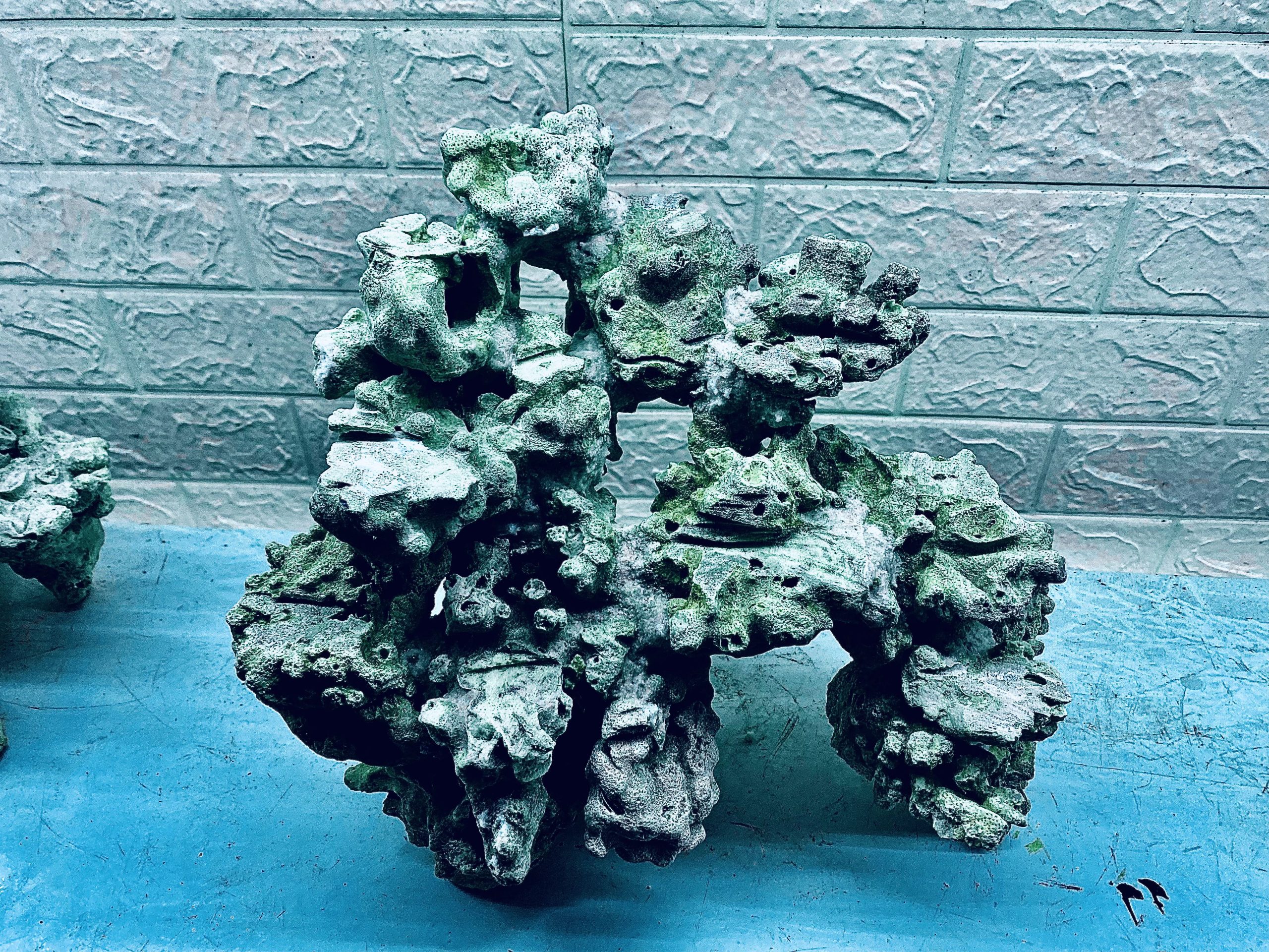 layout-ca-bien-royalaqua (263)