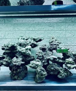 MÃ 353 - LAYOUT CÁ BIỂN BỂ 110CM - ROYALAQUA