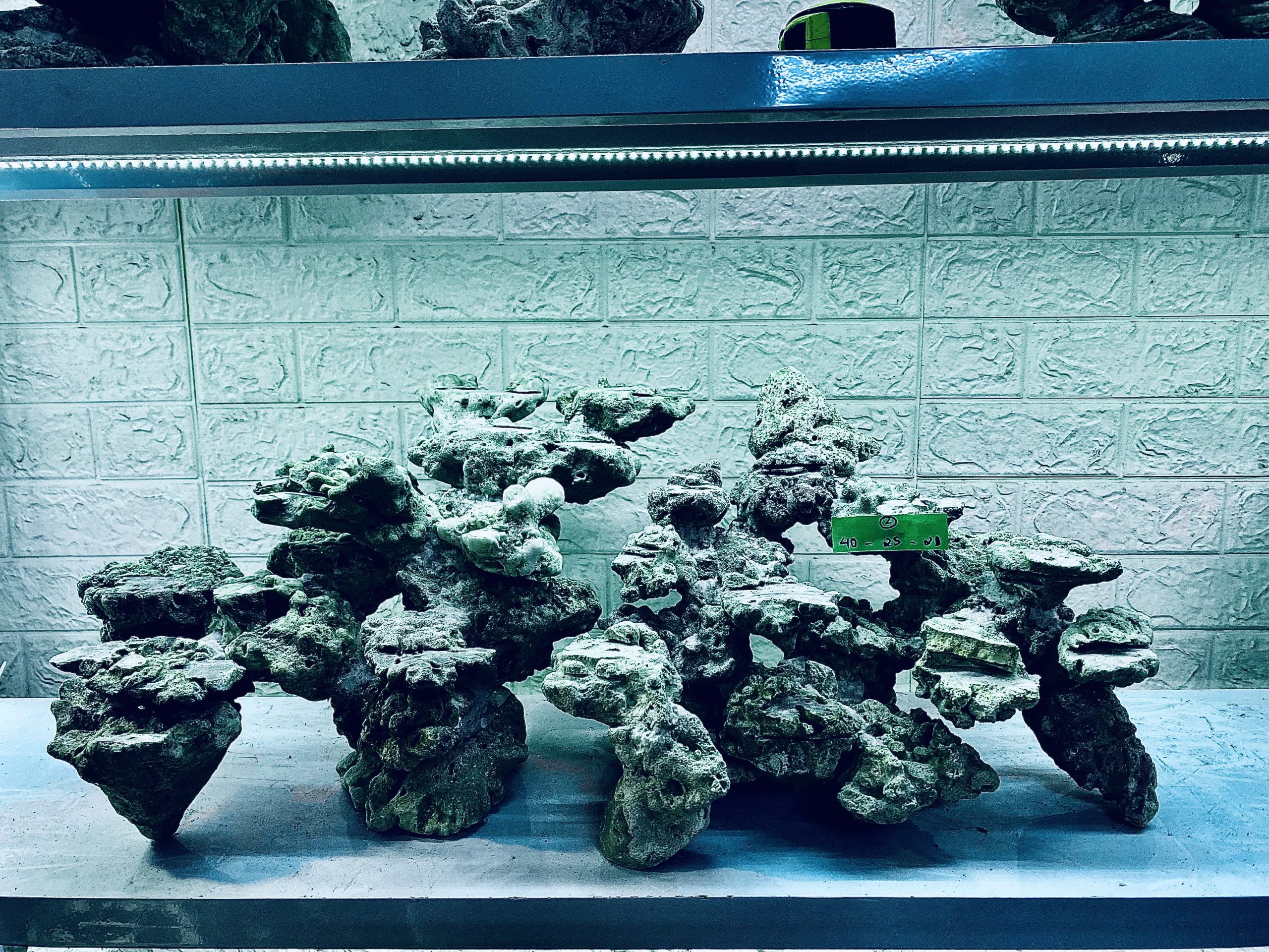 layout-ca-bien-royalaqua (266)