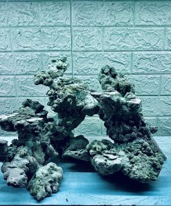 MÃ 354 - LAYOUT CÁ BIỂN BỂ 45CM - ROYALAQUA