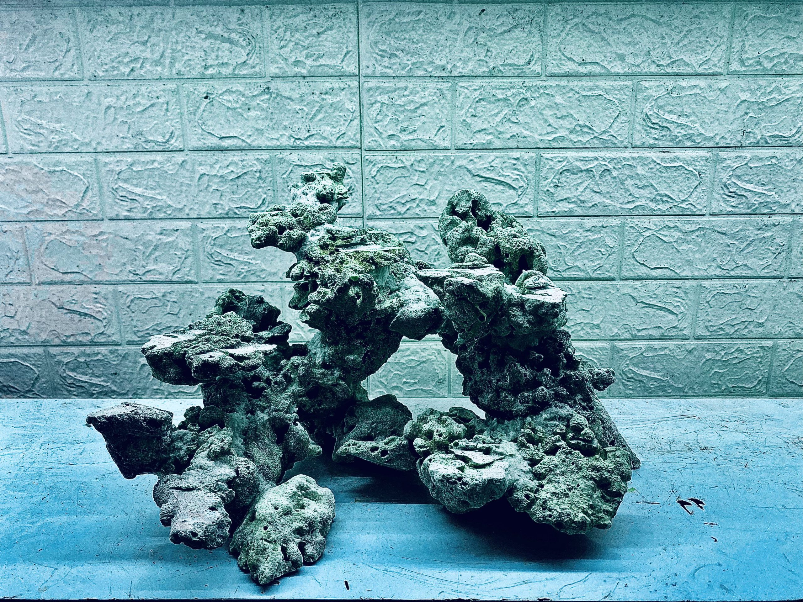 layout-ca-bien-royalaqua (271)