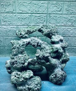 MÃ 357 - LAYOUT CÁ BIỂN BỂ 40CM - ROYALAQUA