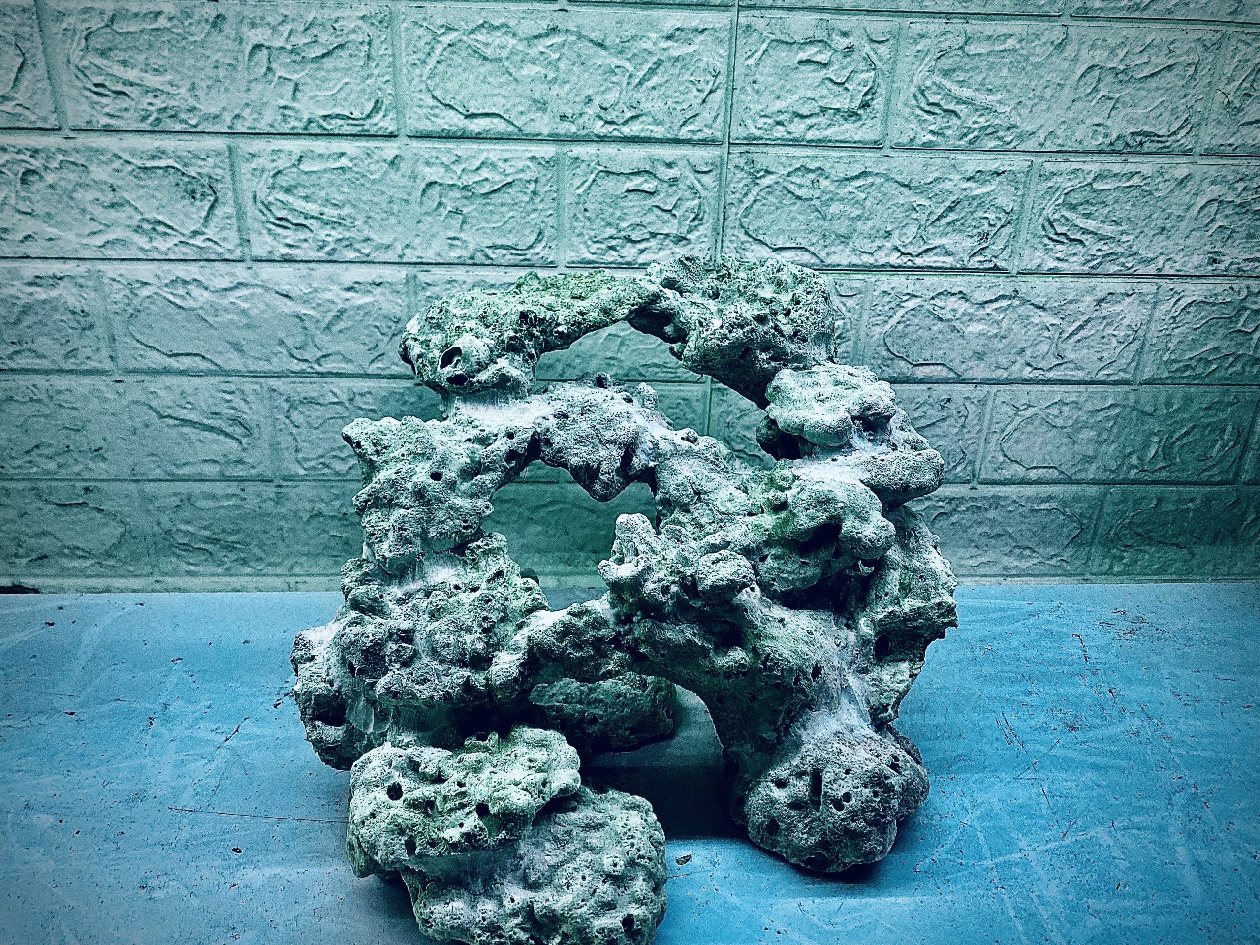 layout-ca-bien-royalaqua (285)