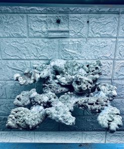 MÃ 358 - LAYOUT CÁ BIỂN BỂ 40CM - ROYALAQUA