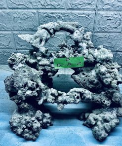 MÃ 360 - LAYOUT CÁ BIỂN BỂ 3\40CM - ROYALAQUA