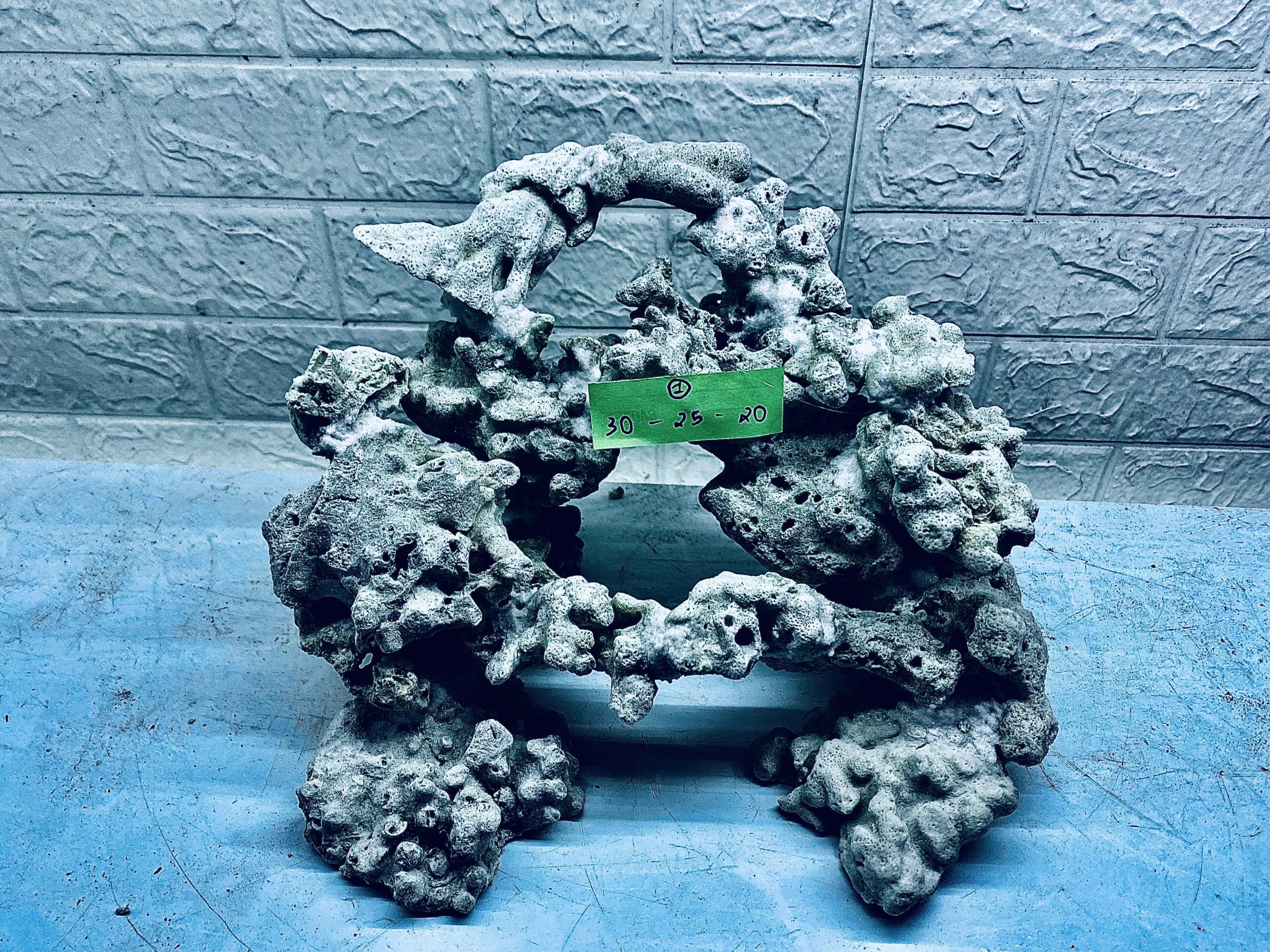 layout-ca-bien-royalaqua (301)