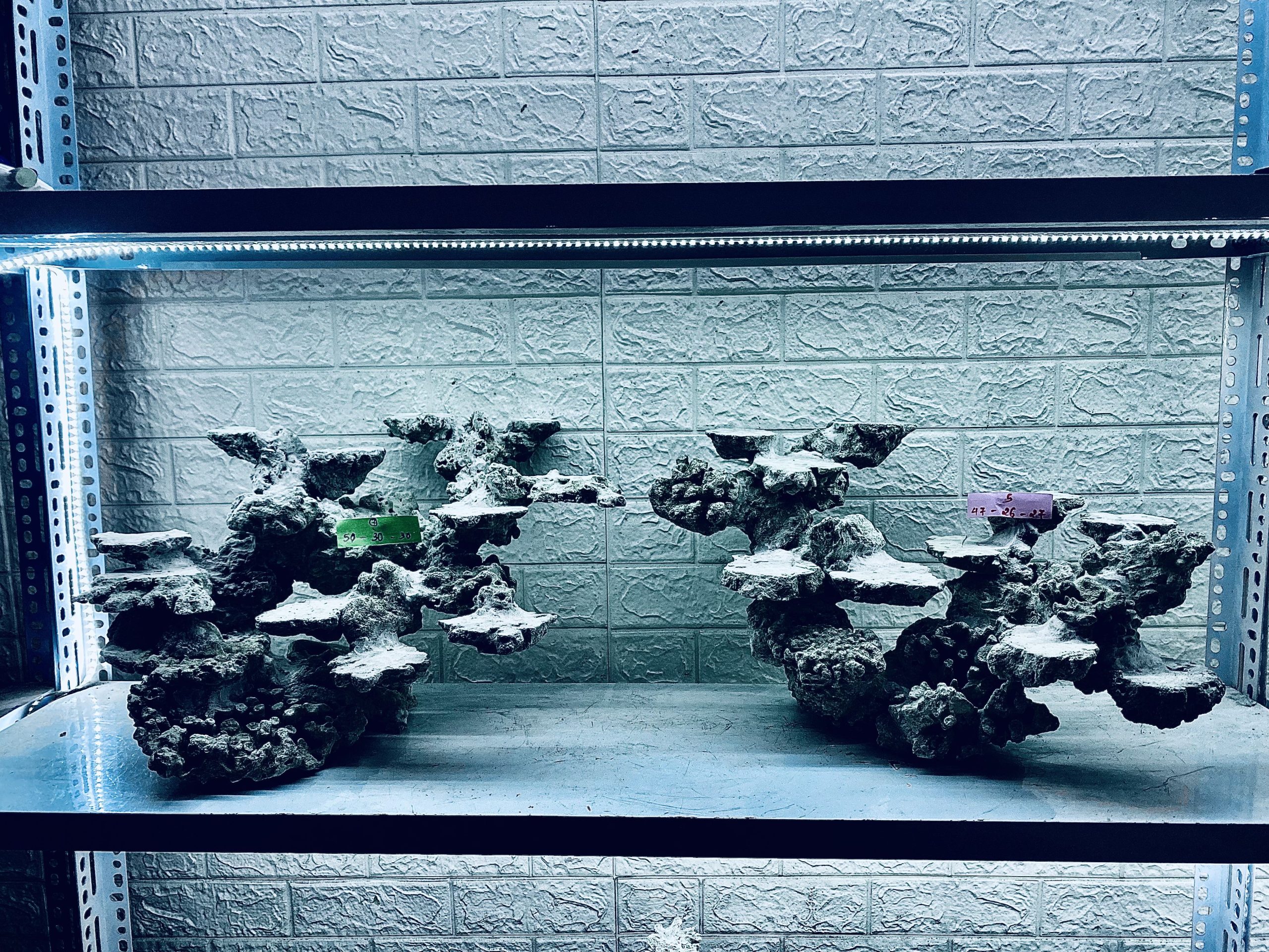 layout-ca-bien-royalaqua (304)