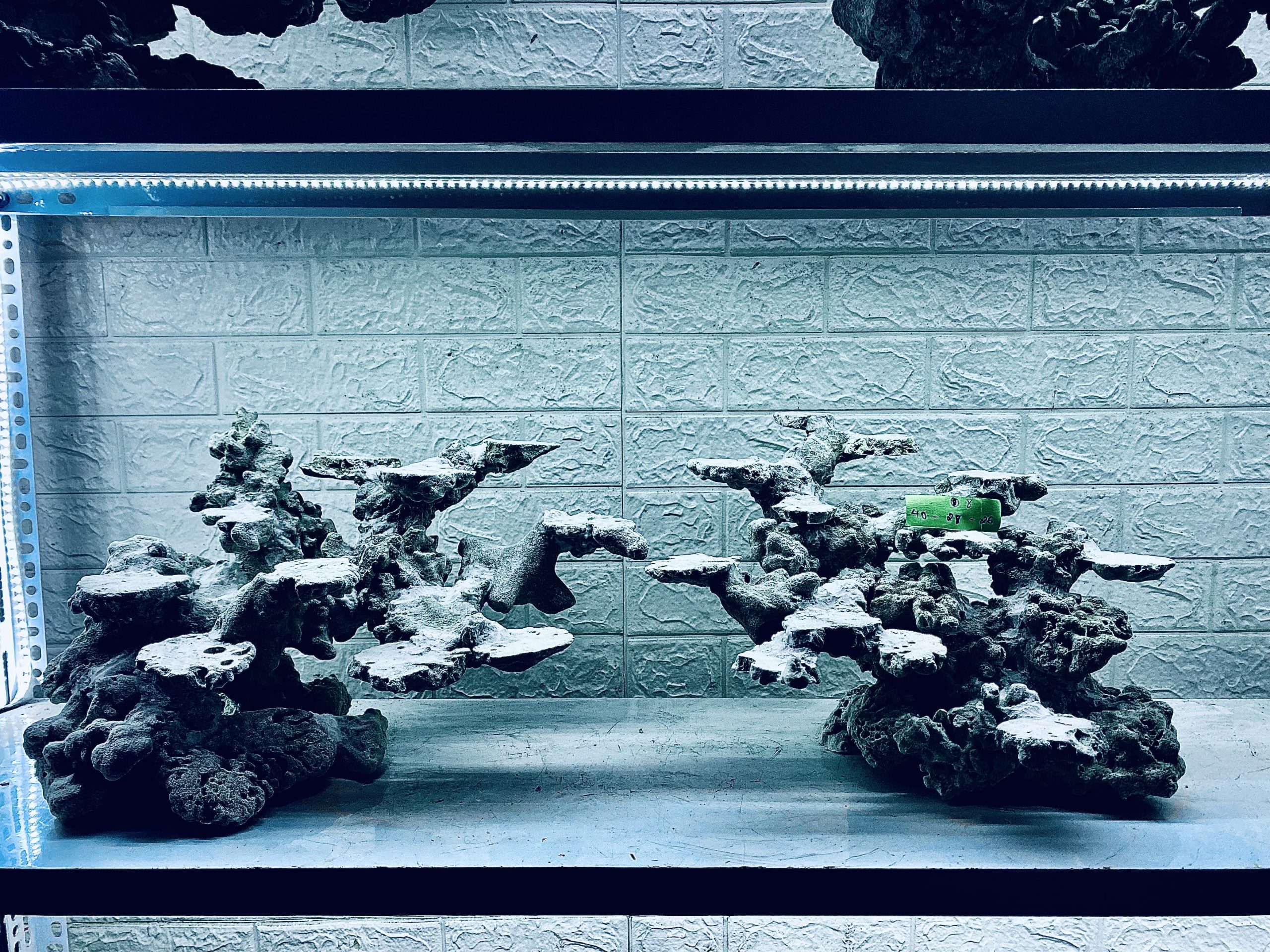 layout-ca-bien-royalaqua (308)