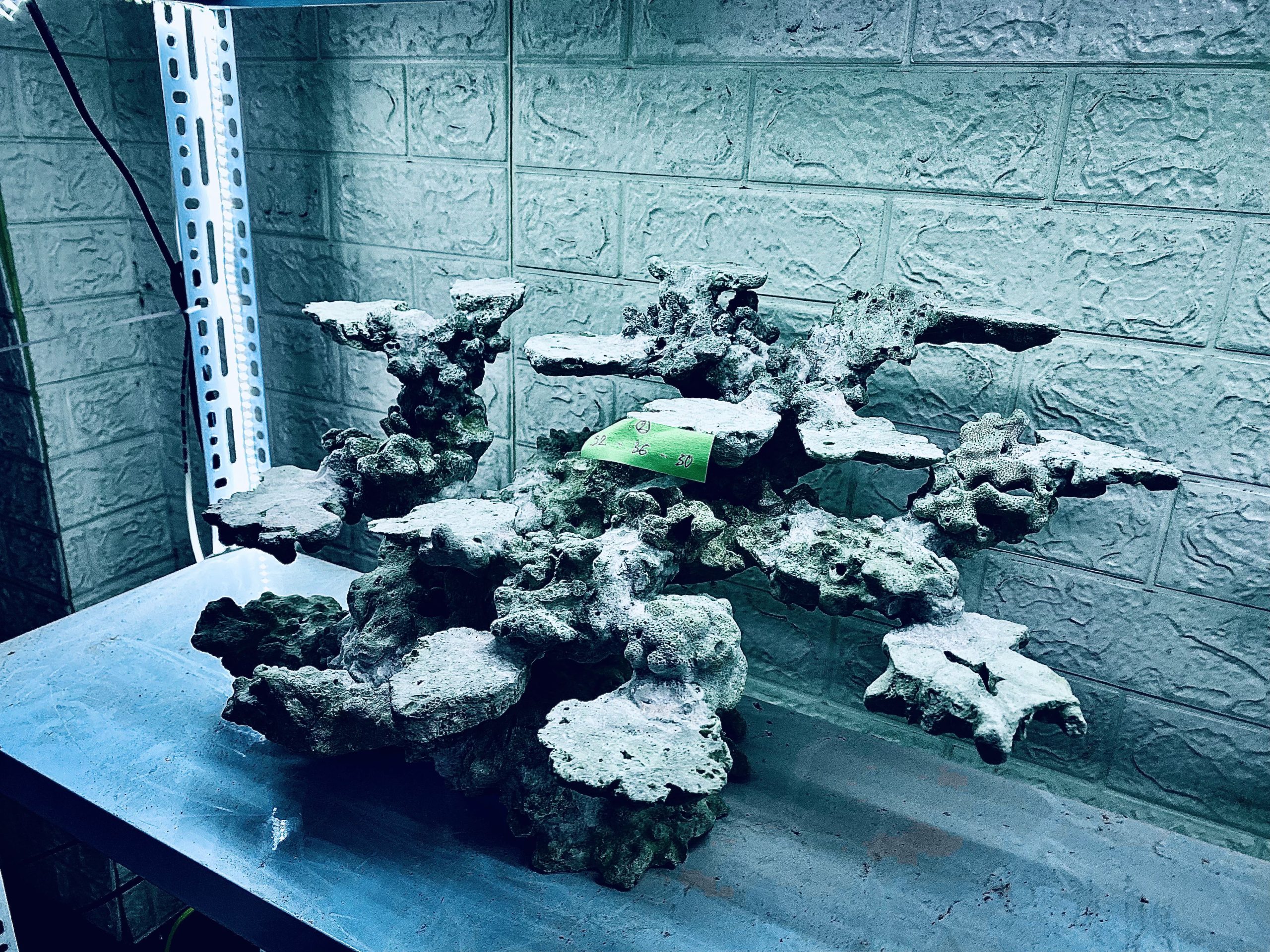 layout-ca-bien-royalaqua (321)