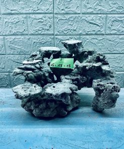 MÃ 367 - LAYOUT CÁ BIỂN BỂ 30CM - ROYALAQUA