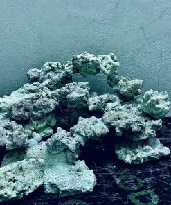 MÃ 253 - LAYOUT CÁ CẢNH BIỂN BỂ 40CM - ROYALAQUA