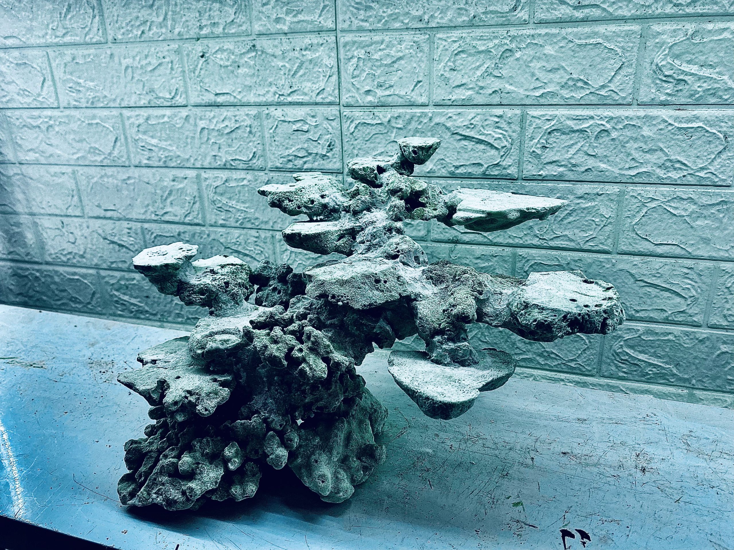 layout-ca-bien-royalaqua (374)