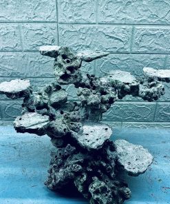 MÃ 369 - LAYOUT CÁ BIỂN BỂ 40CM - ROYALAQUA