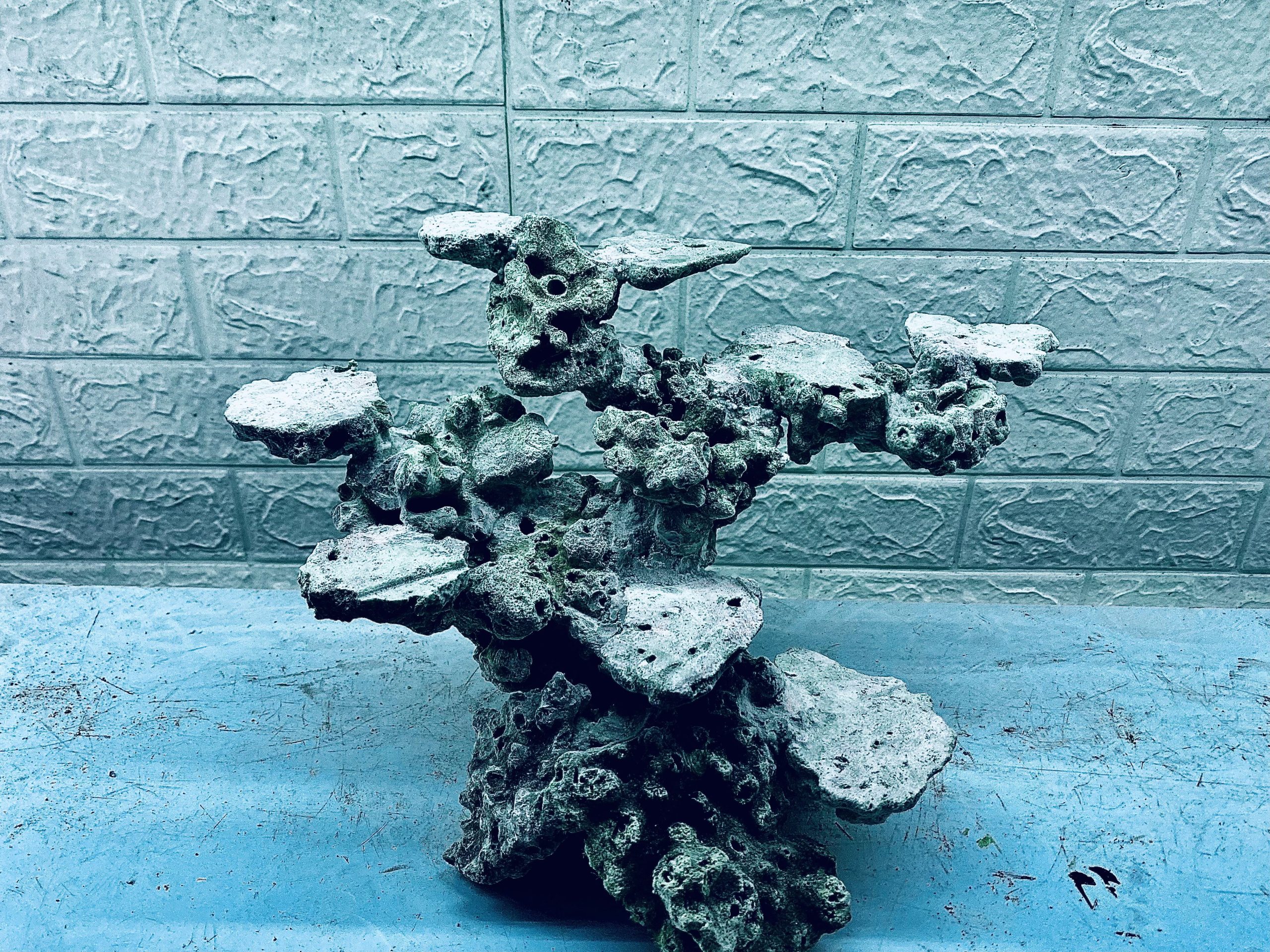 layout-ca-bien-royalaqua (376)