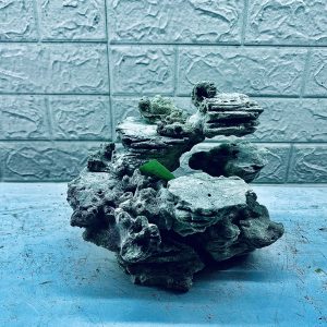 MÃ 371 - LAYOUT CÁ BIỂN BỂ 30CM - ROYALAQUA