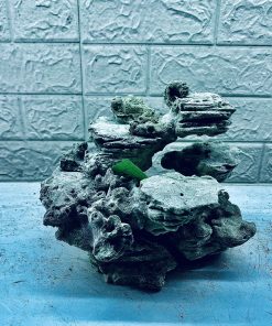 MÃ 371 - LAYOUT CÁ BIỂN BỂ 30CM - ROYALAQUA