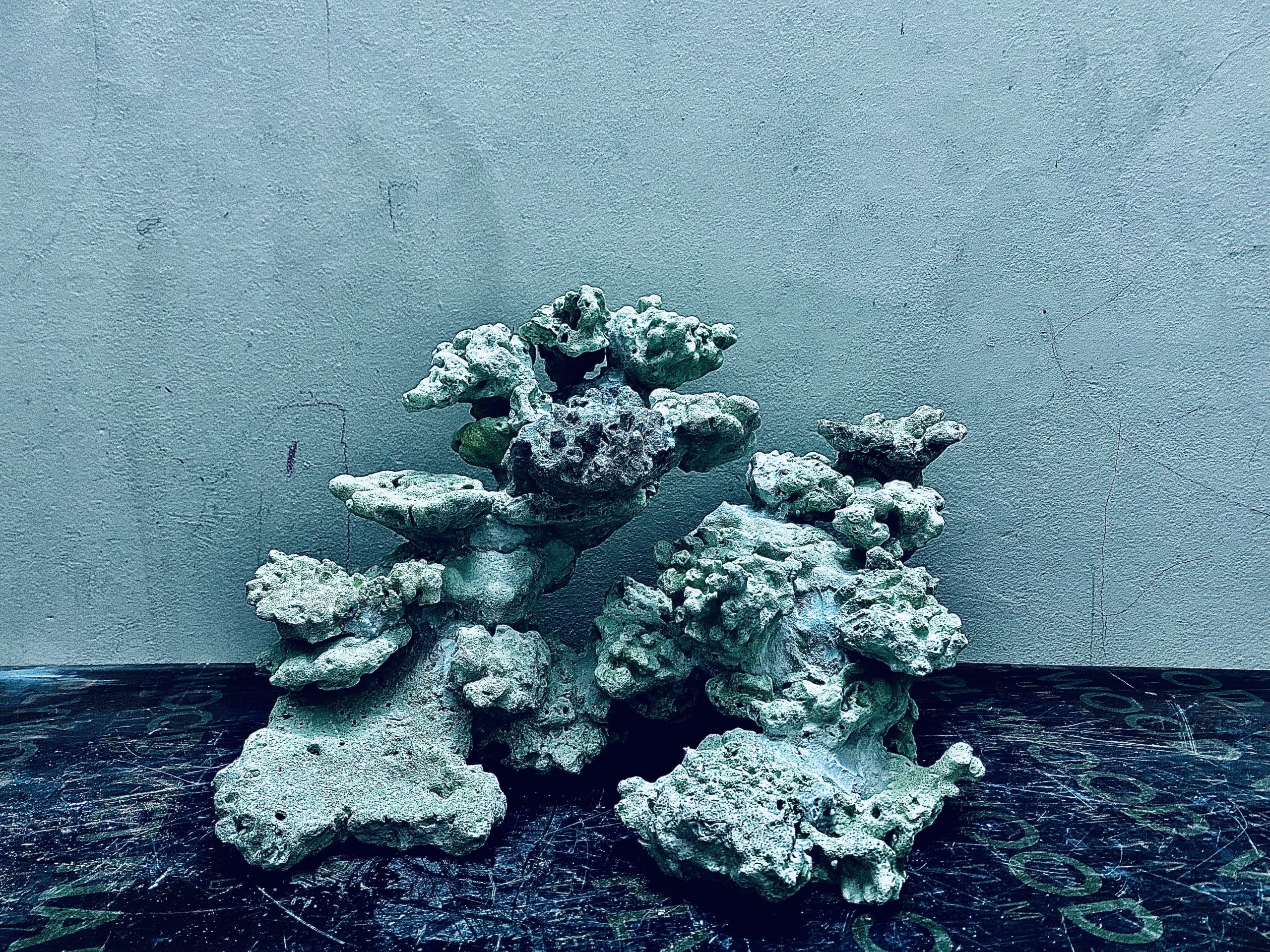 layout-ca-bien-royalaqua (40)