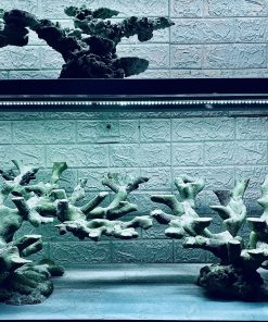 MÃ 375 - LAYOUT CÁ BIỂN BỂ 150x60x60CM - ROYALAQUA