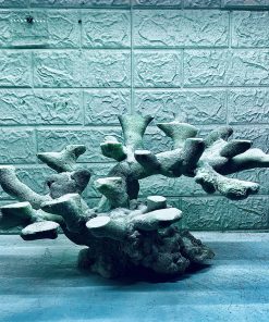 MÃ 376 - LAYOUT CÁ BIỂN BỂ 60x40x40CM - ROYALAQUA