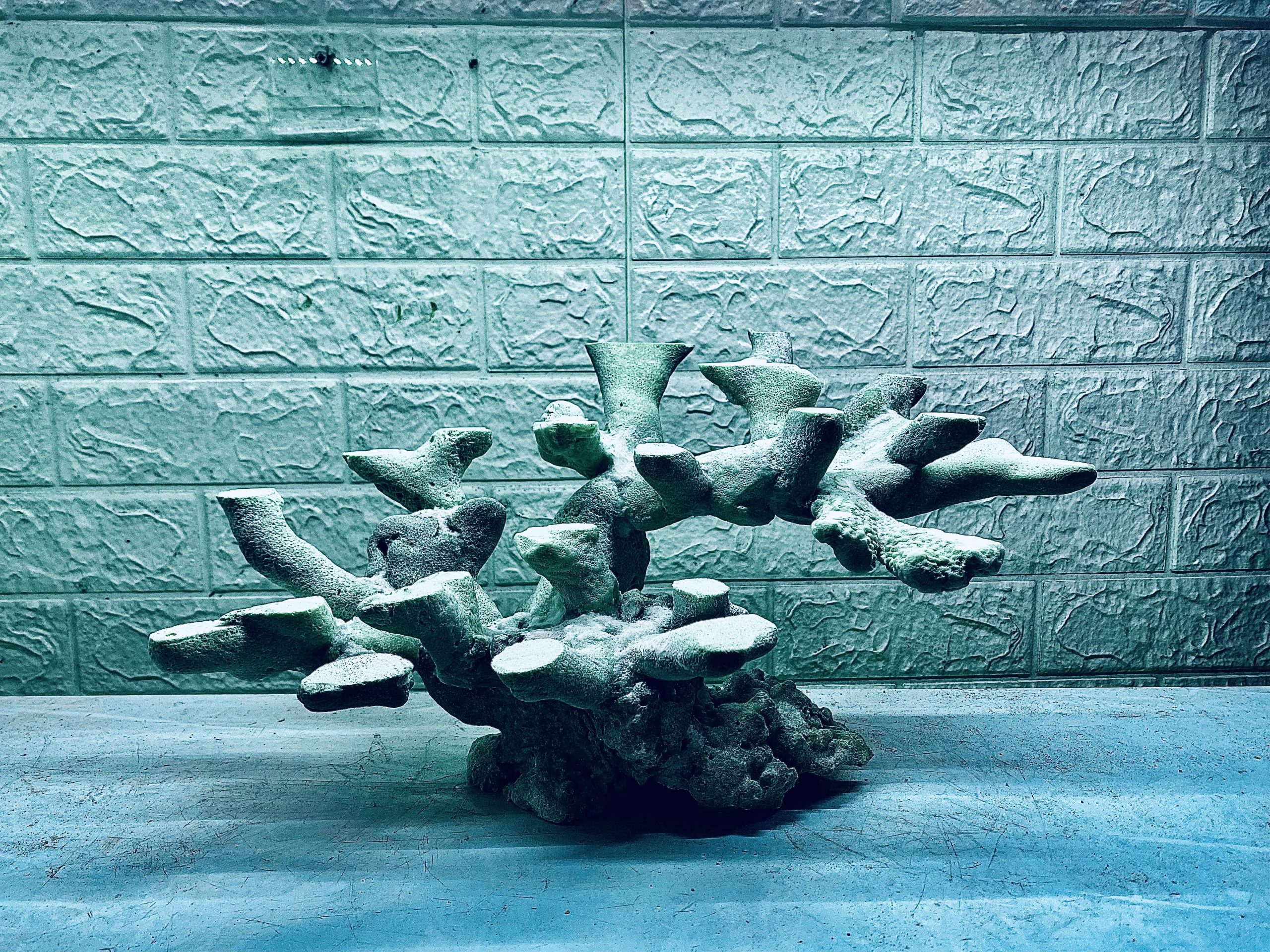 layout-ca-bien-royalaqua (406)