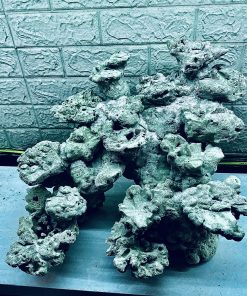 MÃ 378 - LAYOUT CÁ BIỂN BỂ CUBIC 50CM - ROYALAQUA