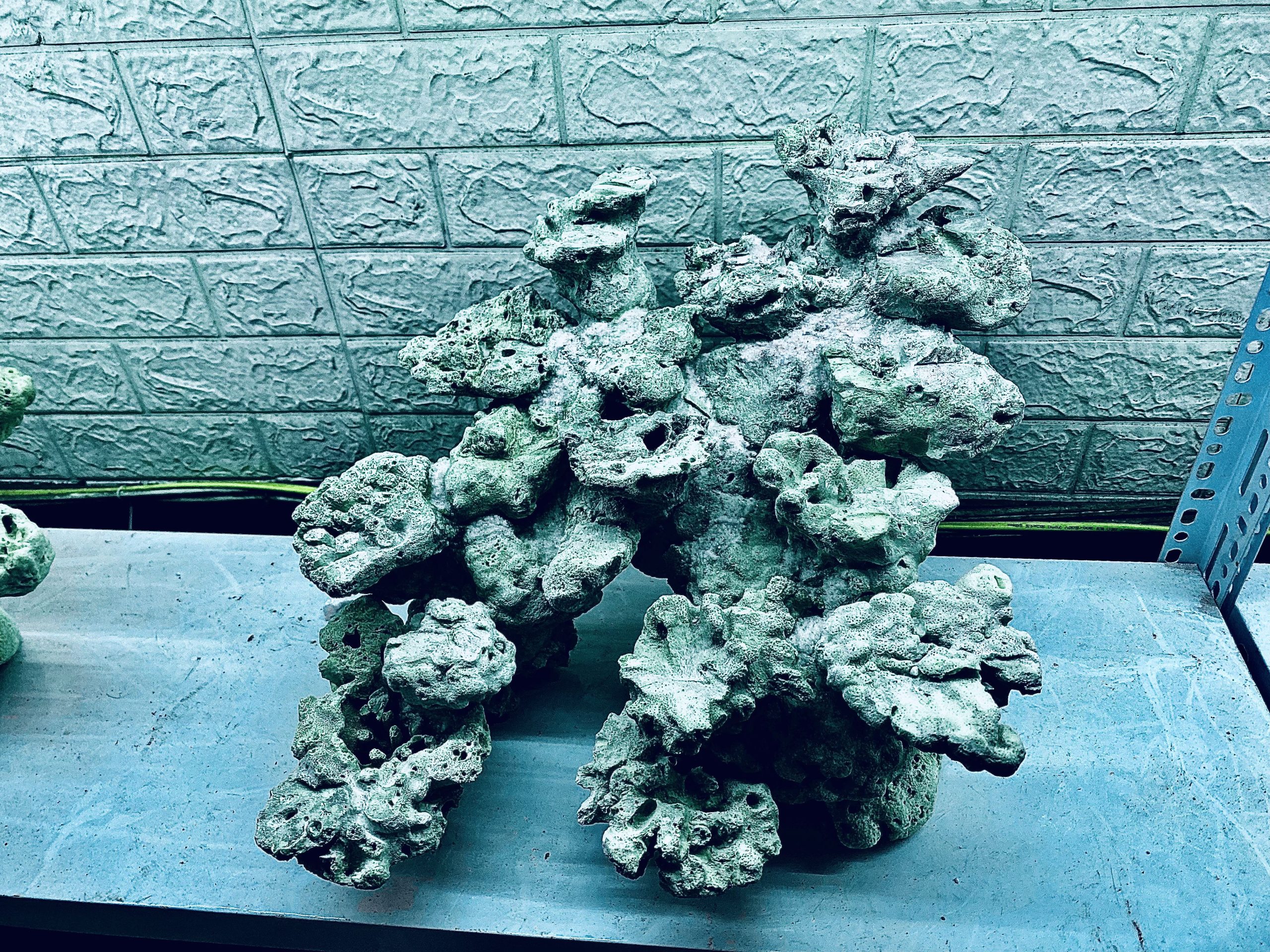 layout-ca-bien-royalaqua (411)